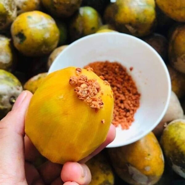 Cóc chín - Ảnh 3
