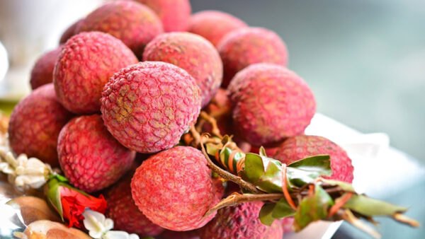 TRÁI VẢI