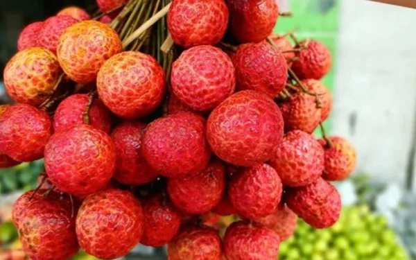 TRÁI VẢI - Ảnh 4
