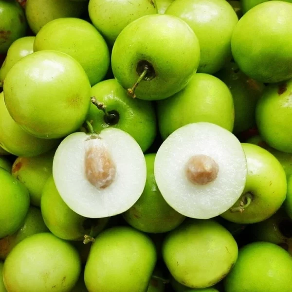 TÁO XANH VIỆT NAM