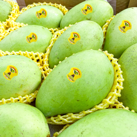Xoài cát hòa lộc - 1Kg